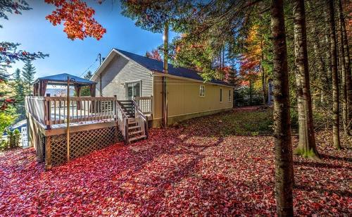 Cour - 2070 Rue Wilfrid, Val-David, QC - Outdoor With Deck Patio Veranda