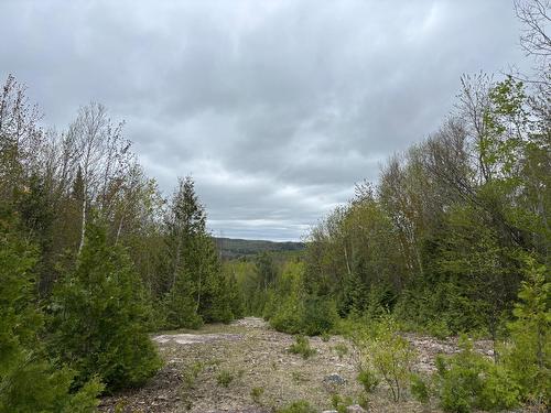 Extérieur - Rue Non Disponible-Unavailable, Chertsey, QC 