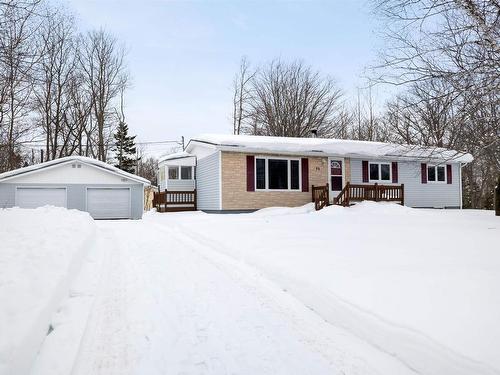 73 Westview Drive, Mount William, NS 