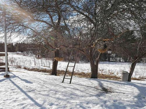 56 Harold Road, Martins Point, NS 