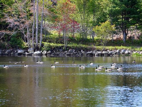 56 Harold Road, Martins Point, NS - Outdoor With Body Of Water With View
