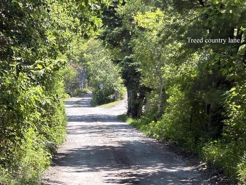 56 Harold Road, Martins Point, NS - Outdoor With View
