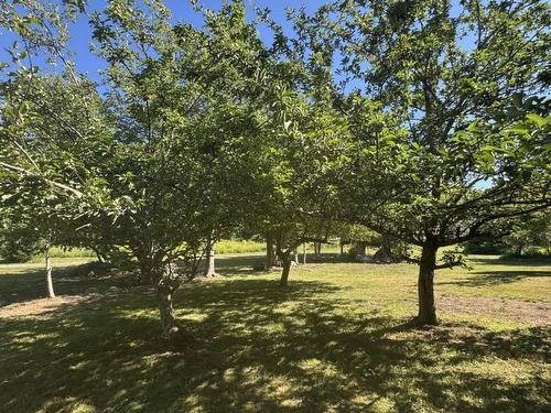 41 Eldoras Lane, Sheet Harbour, NS 