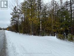 PART FM LOT 4 CHI SIN TIB DEK ROAD  Northern Bruce Peninsula, ON N0H 2R0