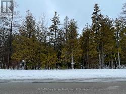 PT FARM LOT 4 CHI SIN TIB DEK ROAD  Northern Bruce Peninsula, ON N0H 2R0