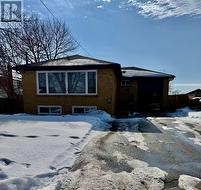 LOWER - 81 POST ROAD  Brampton, ON L6V 1X3