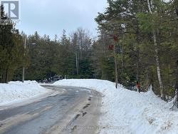 PT FARM LT 4 NICHOLAS STREET  Northern Bruce Peninsula, ON N0H 2R0