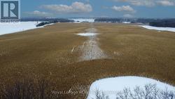 572 CONCESSION 2 South Bruce, ON N0G 2J0