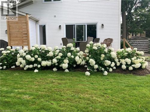 38 Euclid Avenue, Waterloo, ON - Outdoor With Exterior