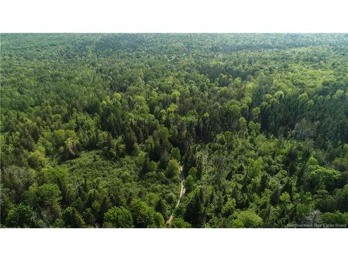 327 Maple Grove Rd, Maple Grove, NB 