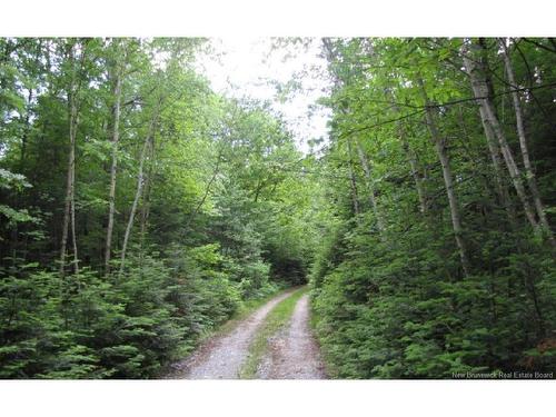 327 Maple Grove Rd, Maple Grove, NB 