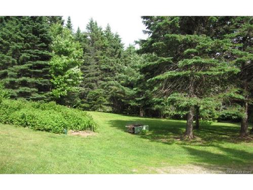 327 Maple Grove Rd, Maple Grove, NB 
