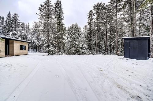 Façade - 615 Ch. David, Lac-Supérieur, QC - Outdoor
