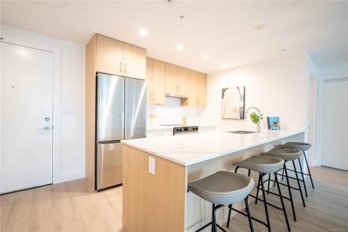 202-258 Helmcken Rd, View Royal, BC - Indoor Photo Showing Kitchen With Stainless Steel Kitchen With Upgraded Kitchen