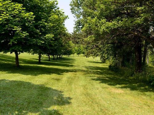 41 Colonial Arms Drive, Deep Brook, NS 