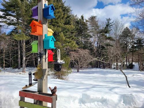 35 Mcdonald Road, White Point, NS 