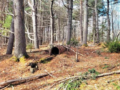 35 Mcdonald Road, White Point, NS 
