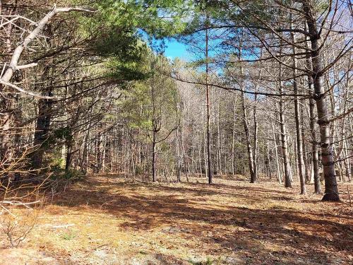 35 Mcdonald Road, White Point, NS 