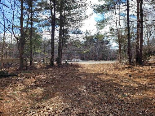 35 Mcdonald Road, White Point, NS 