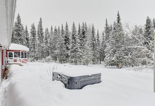 Backyard - 238 12E Rang E., Stoke, QC - Outdoor