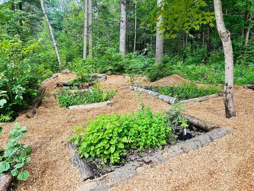 Garden - 238 12E Rang E., Stoke, QC - Outdoor
