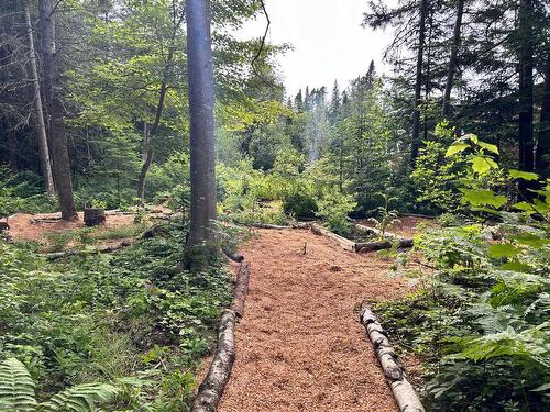 Garden - 238 12E Rang E., Stoke, QC - Outdoor