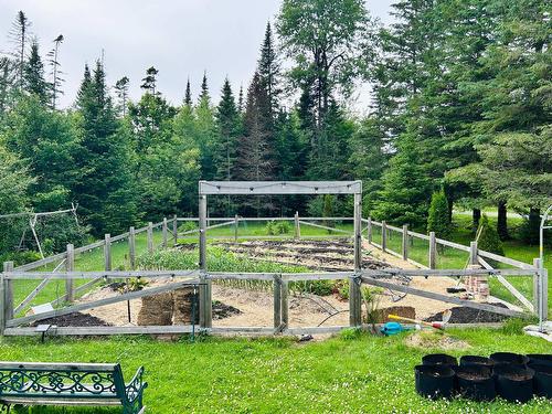 Garden - 238 12E Rang E., Stoke, QC - 
