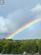 1433 SOUTH HORN LK ROAD  Ryerson, ON P0A 1C0