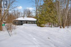 5 FIRE ROUTE 60  Trent Lakes, ON K0L 1J0