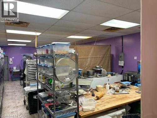 248 Stirling Avenue S, Kitchener, ON 