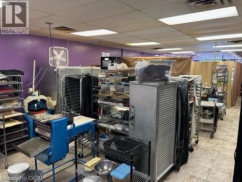 248 Stirling Avenue S, Kitchener, ON 