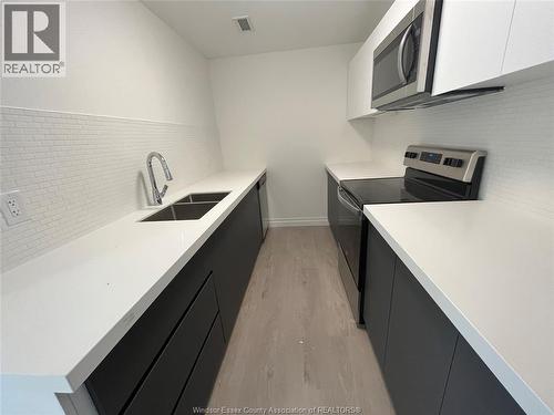3290 Stella Crescent Unit# 301, Windsor, ON - Indoor Photo Showing Kitchen With Double Sink