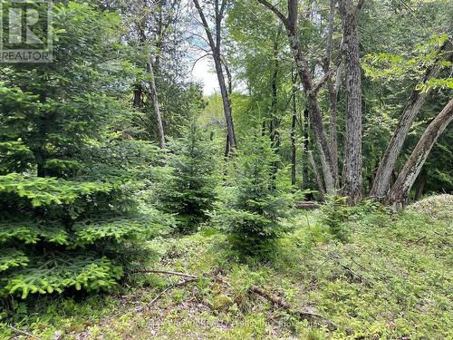 4 Smith Island, Callander, ON 