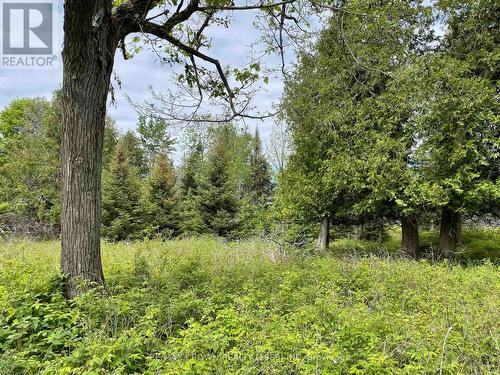 4 Smith Island, Callander, ON 