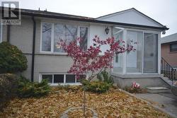 UPPER - 19 AVONDALE BOULEVARD  Brampton, ON L6T 1H1