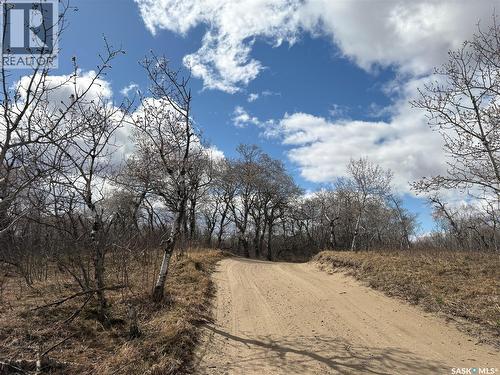 29 Riverview Road, Rosthern Rm No. 403, SK - Outdoor With View
