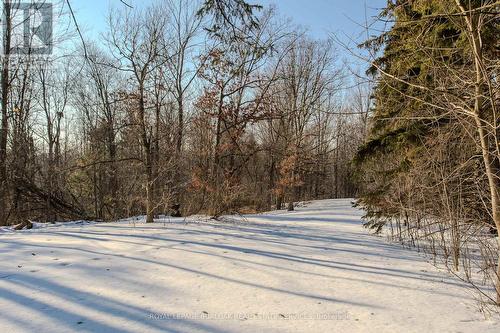 2431 Britannia Road, Burlington, ON - Outdoor With View