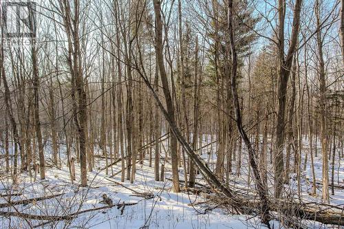 2431 Britannia Road, Burlington, ON - Outdoor With View