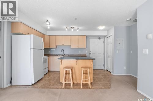 107 303 Lowe Road, Saskatoon, SK - Indoor Photo Showing Kitchen