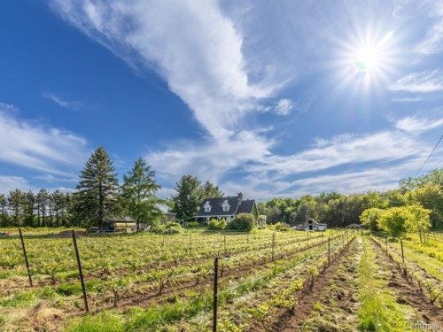 Other - 136 Rg Grand-Sabrevois, Sainte-Anne-De-Sabrevois, QC - Outdoor With View