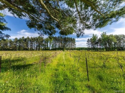 Other - 136 Rg Grand-Sabrevois, Sainte-Anne-De-Sabrevois, QC - Outdoor With View
