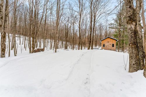 Terre/Terrain - 2658 Rue De Champlain, Dunham, QC - Outdoor