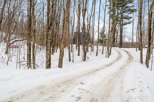 Extérieur - 2658 Rue De Champlain, Dunham, QC - Outdoor With View