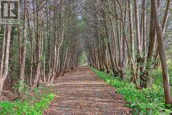 13231 KENNEDY ROAD  Whitchurch-Stouffville, ON L4X 7X5