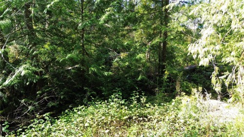 6891 Ridgecrest Rd, Sooke, BC 