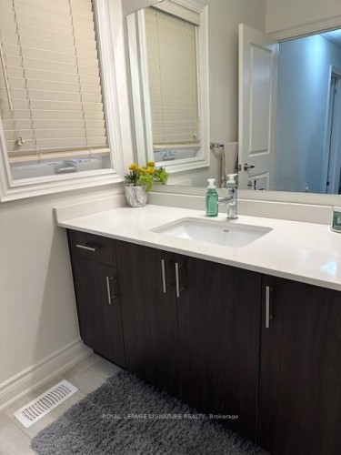 1317 Raspberry Terrace, Milton, ON - Indoor Photo Showing Bathroom