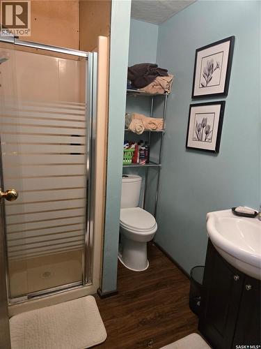 101 3Rd Street W, Leader, SK - Indoor Photo Showing Bathroom