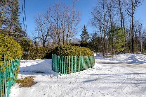 Extérieur - 230 Rue Larose, Dunham, QC - Outdoor