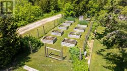 Grow your own garden! - 