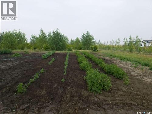 Range Road 2074, Estevan Rm No. 5, SK - Outdoor With View